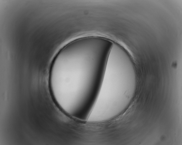X0000103431508200809121024