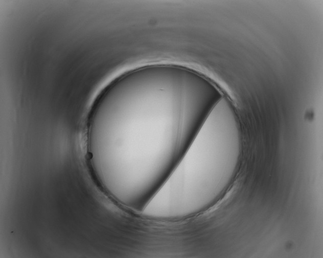 X0000103431510200809121024