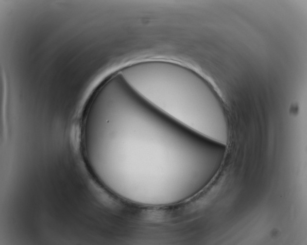 X0000103431511200809121024