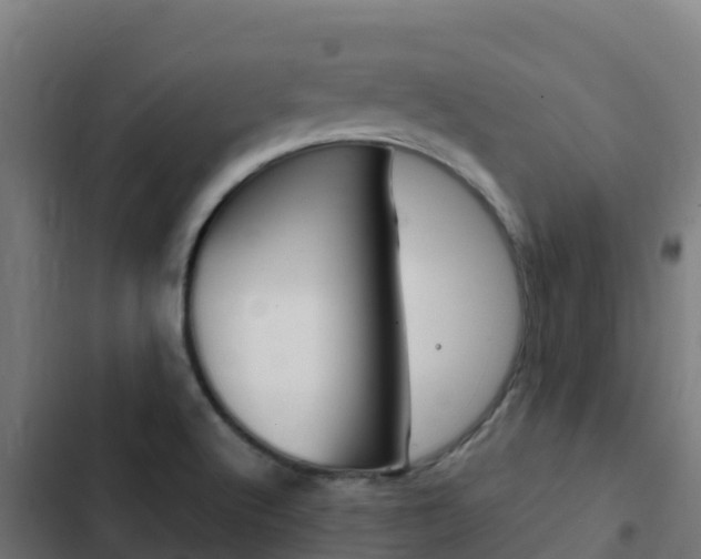 X0000103431512200809121024