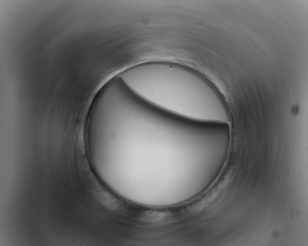 X0000103431513200809121024