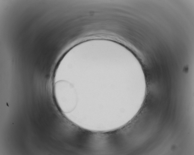 X0000103431514200809121024