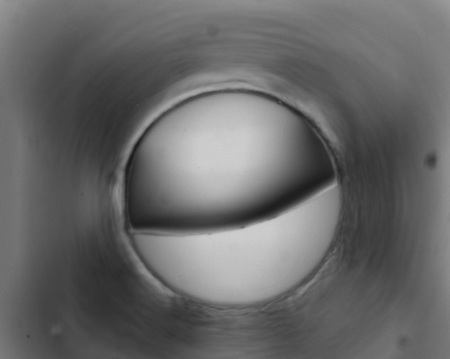 X0000103431516200809121024
