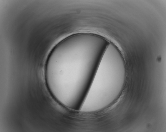 X0000103431517200809121024