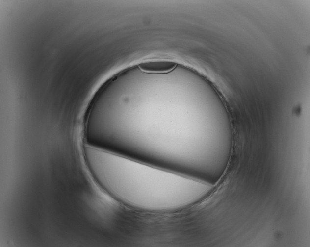 X0000103431519200809121024