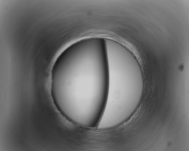 X0000103431520200809121024