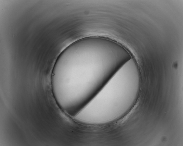 X0000103431521200809121024