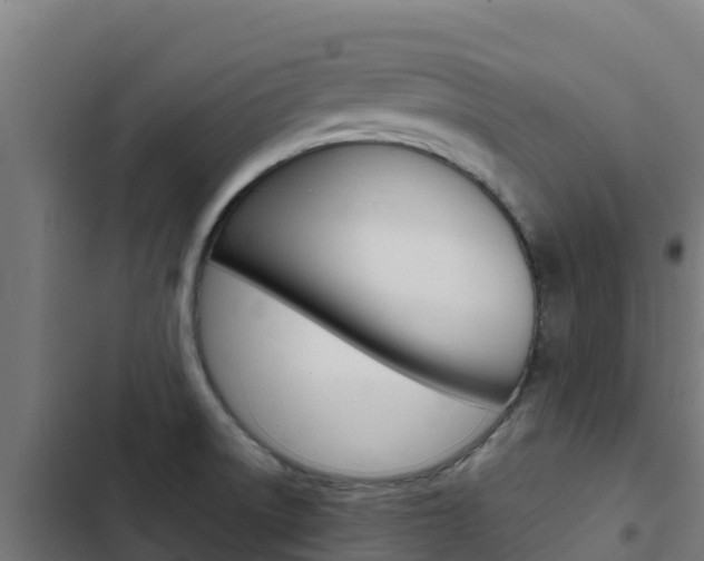 X0000103431522200809121024