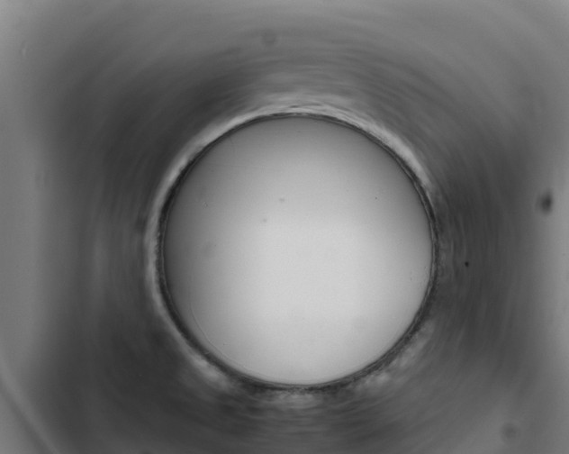 X0000103431525200809121024