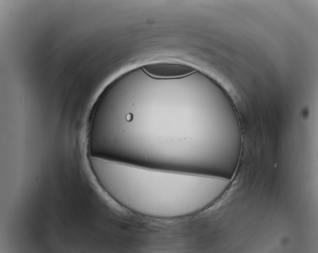 X0000103431526200809121024