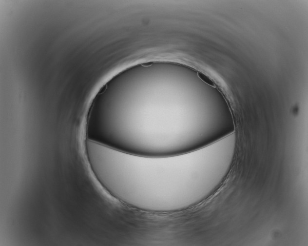 X0000103431528200809121024