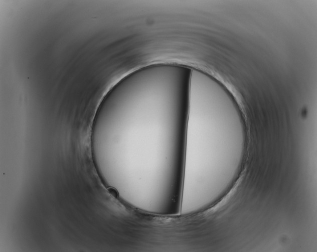 X0000103431529200809121024