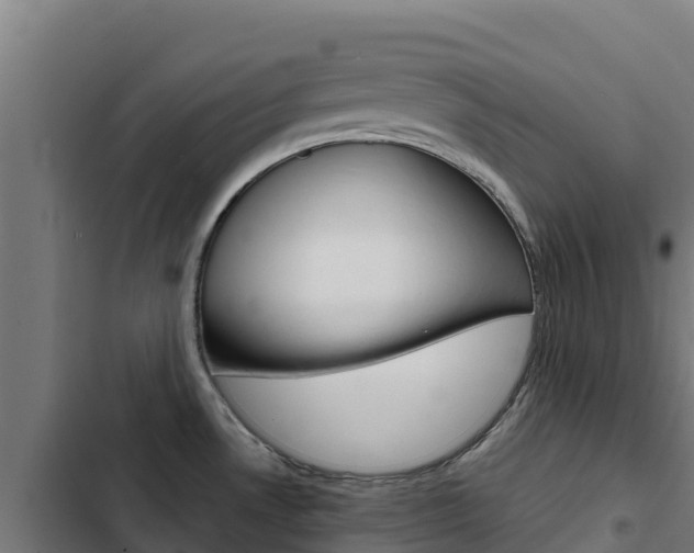 X0000103431530200809121024