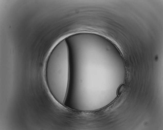 X0000103431531200809121024