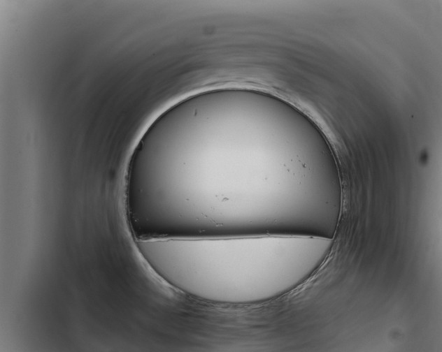 X0000103431532200809121024