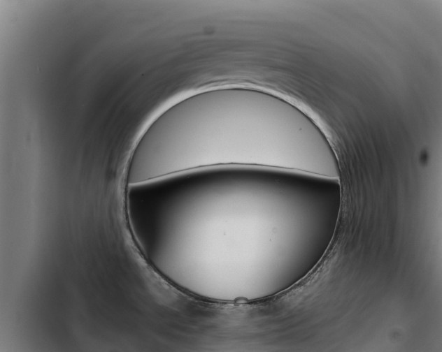 X0000103431534200809121024