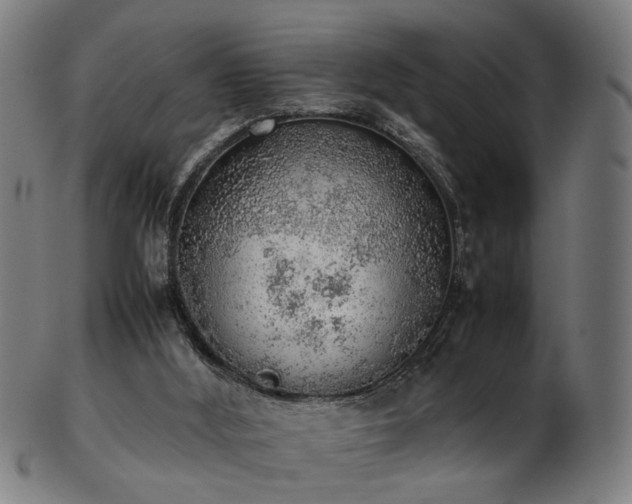 X0000103430012200809121340