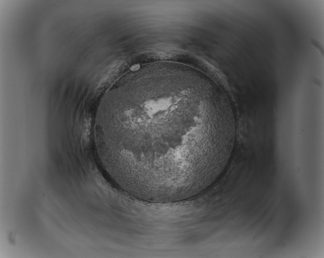 X0000103430018200809121340