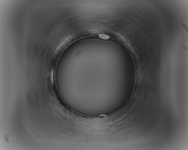 X0000103430019200809121340