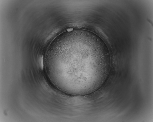 X0000103430020200809121340