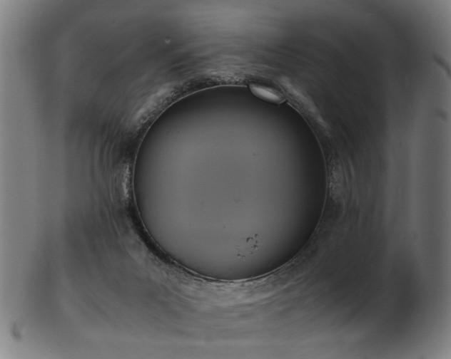 X0000103430023200809121339