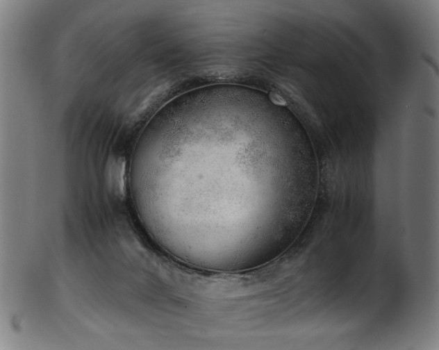X0000103430024200809121339