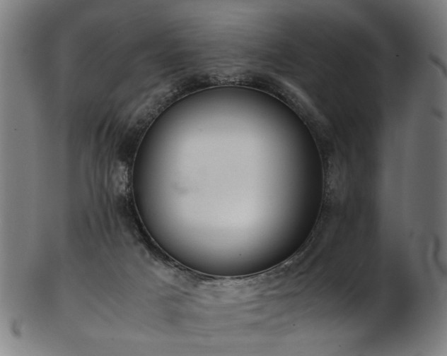 X0000103430025200809121339