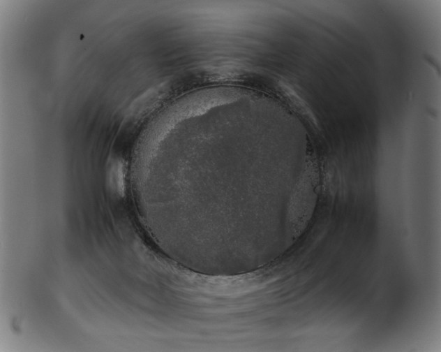 X0000103430026200809121339