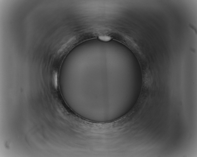 X0000103430027200809121339