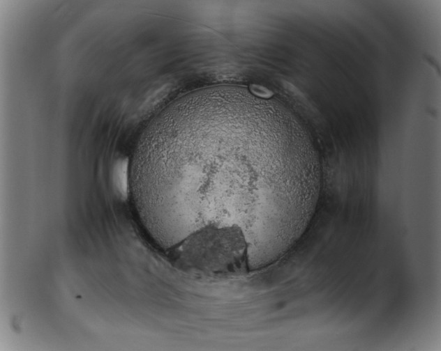 X0000103430028200809121339