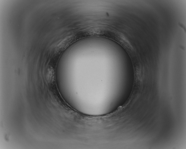 X0000103430029200809121339