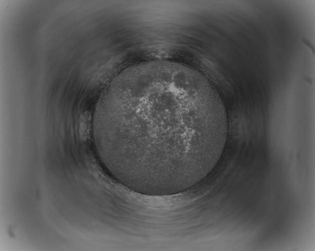 X0000103430030200809121339