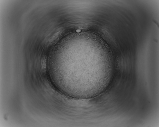 X0000103430032200809121339
