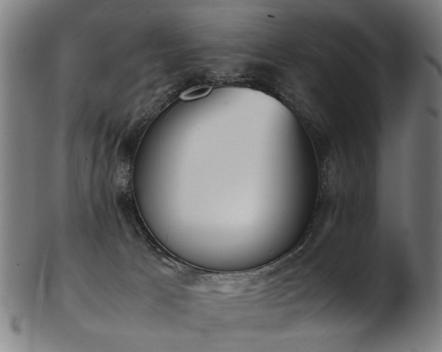 X0000103430033200809121339
