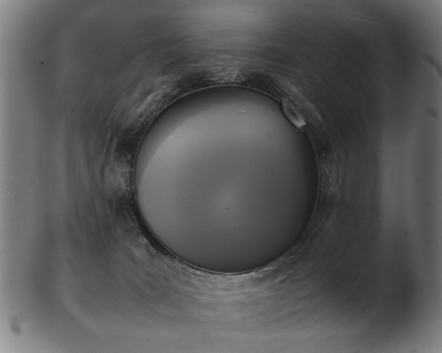 X0000103430035200809121339