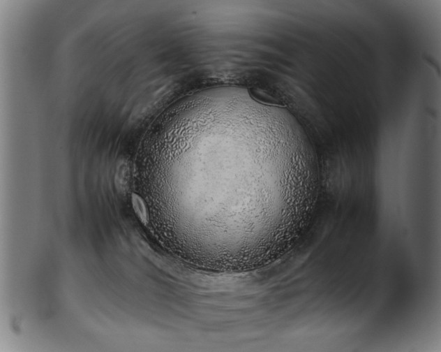 X0000103430036200809121339