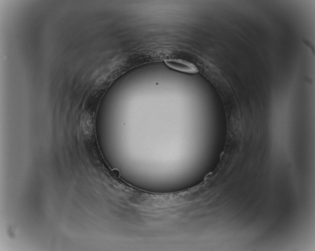 X0000103430037200809121339
