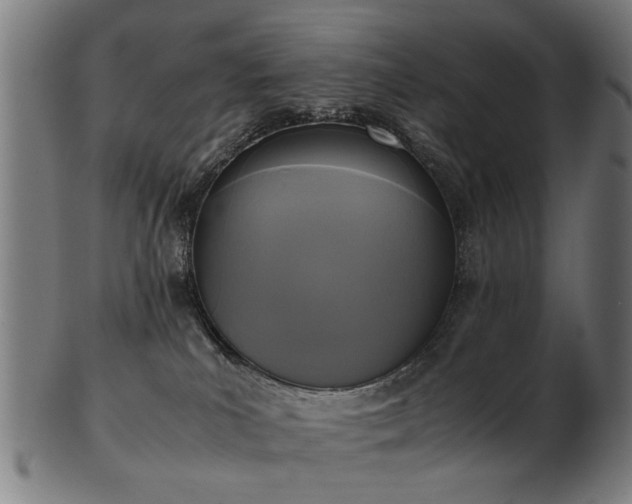 X0000103430039200809121339
