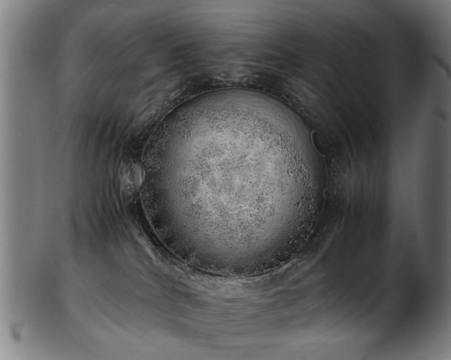 X0000103430040200809121339
