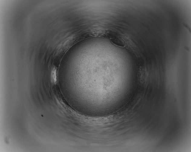 X0000103430042200809121339