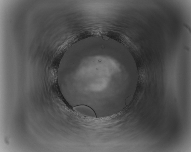X0000103430043200809121339