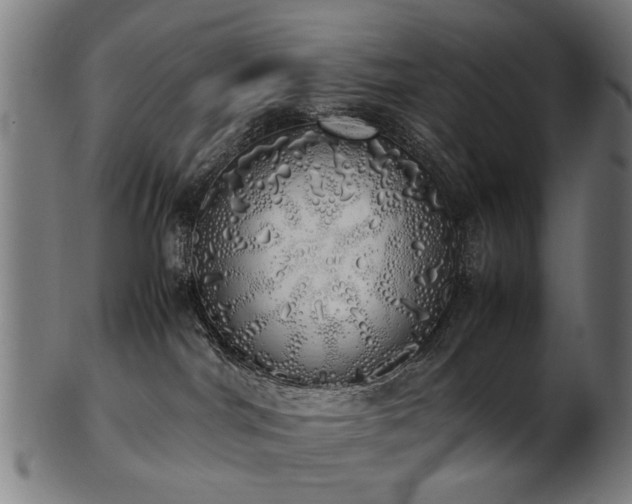 X0000103430044200809121339
