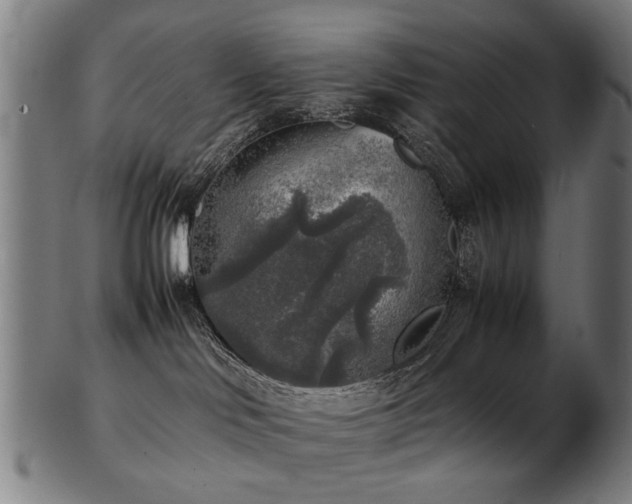 X0000103430046200809121339