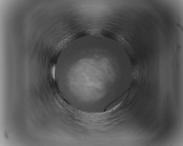 X0000103430047200809121339