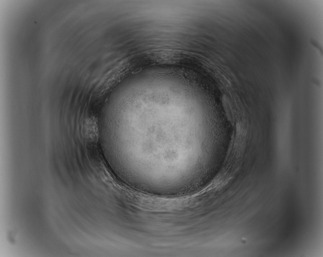 X0000103430048200809121339