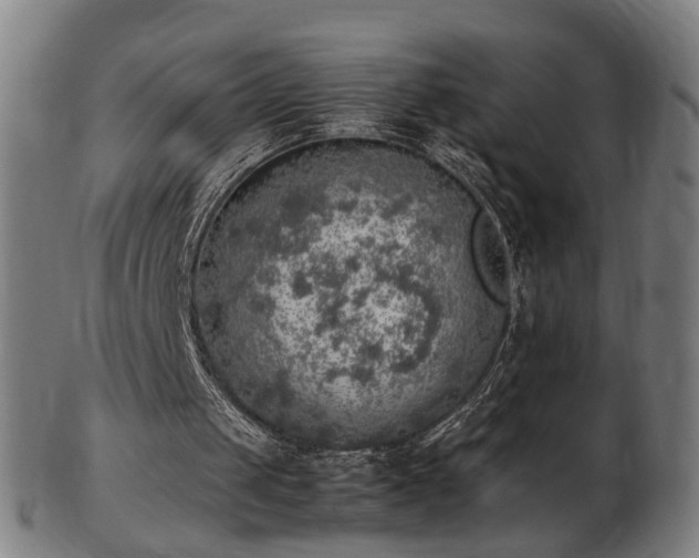 X0000103430049200809121338
