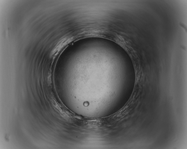 X0000103430050200809121338