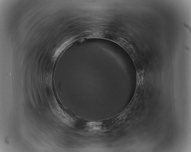 X0000103430051200809121338