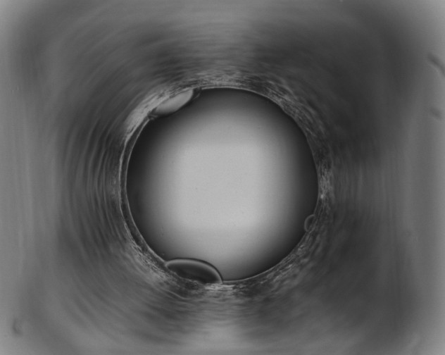 X0000103430052200809121338