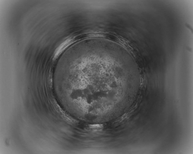 X0000103430053200809121338